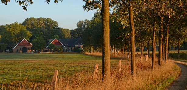 Scholtengoederen Hijink, Aarnink en De Haar laan