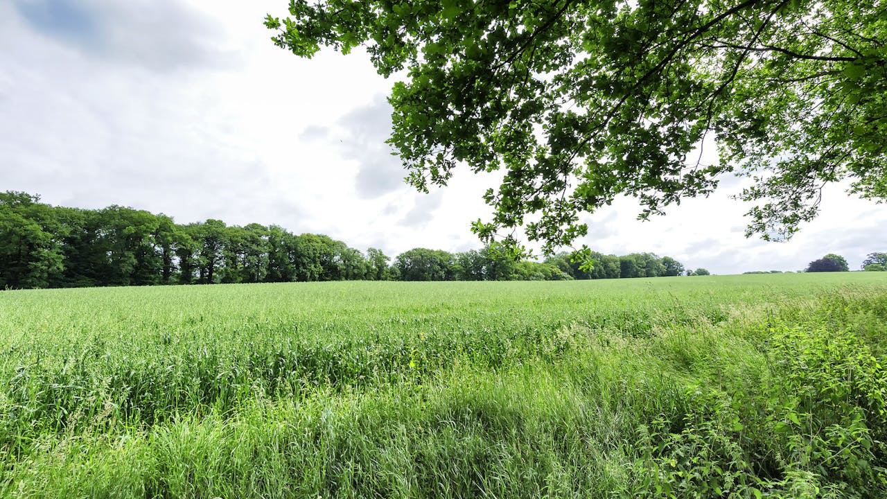 Scholtengoederen Hijink, Aarnink en De Haar; akker met op de achtergrond bomen.