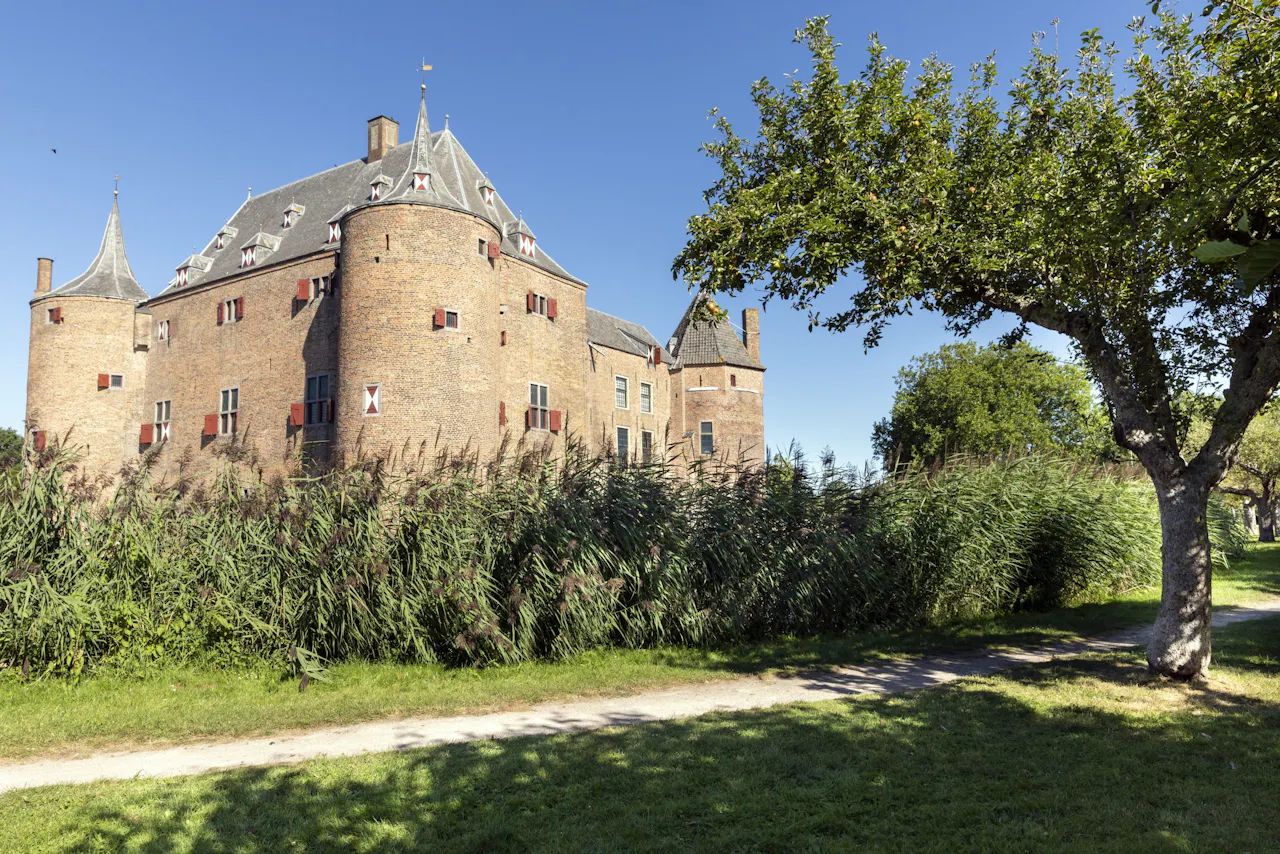 Kasteel Ammersoyen met meerdere ronde hoektorens, kleine ramen met luiken en grijze leien daken met spitsen. Het kasteel ligt achter een brede strook riet; op de voorgrond loopt een pad langs een boom met groene bladeren.