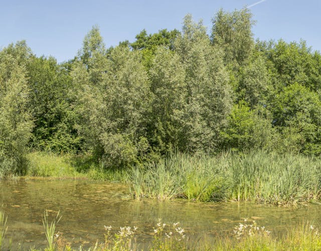 Groote Beek vijver