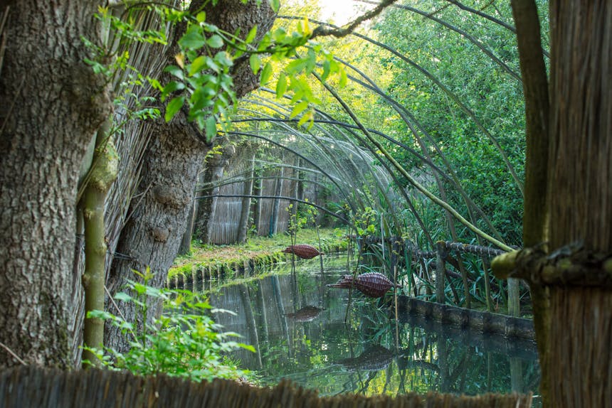 Batenburg eendenkooi