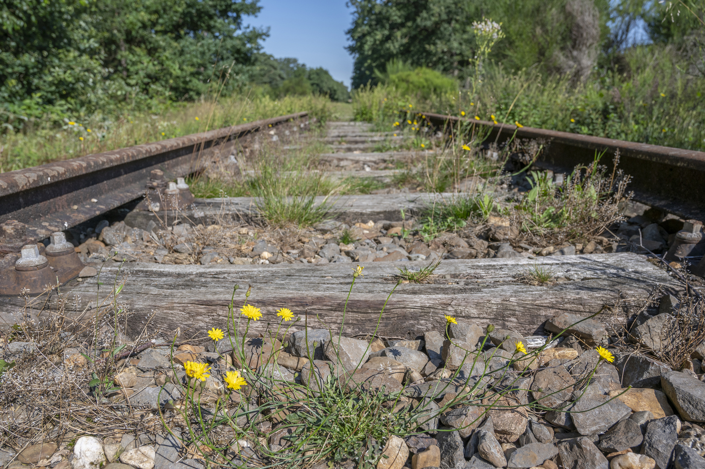 Borkense Baan en Veenhuis; spoorlijn met roestige rails en verweerde houten bielzen
