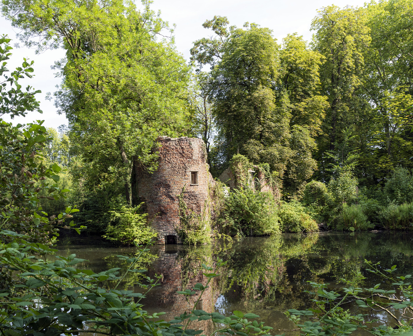 Begroeide kasteelruïne aan het water in het parkbos op Landgoed Brakel, omgeven door groene loofbomen.