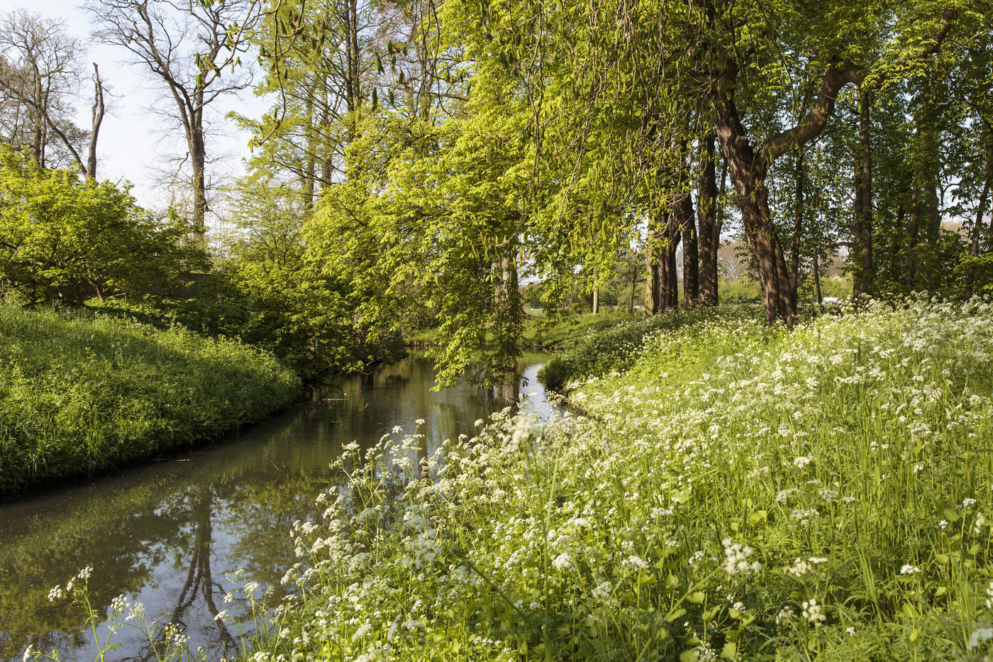 Water met begroeide oevers op Landgoed Brakel.