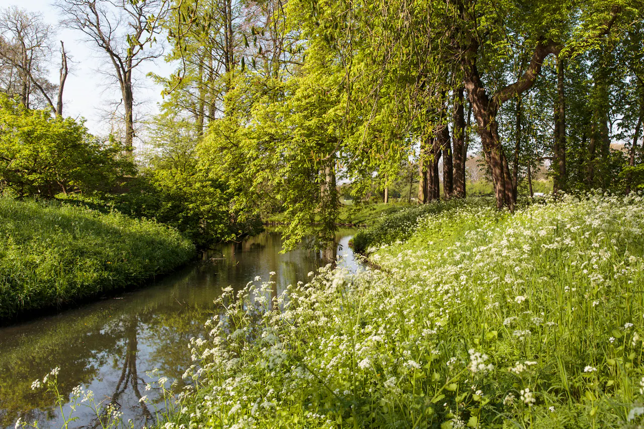Water met begroeide oevers op Landgoed Brakel.