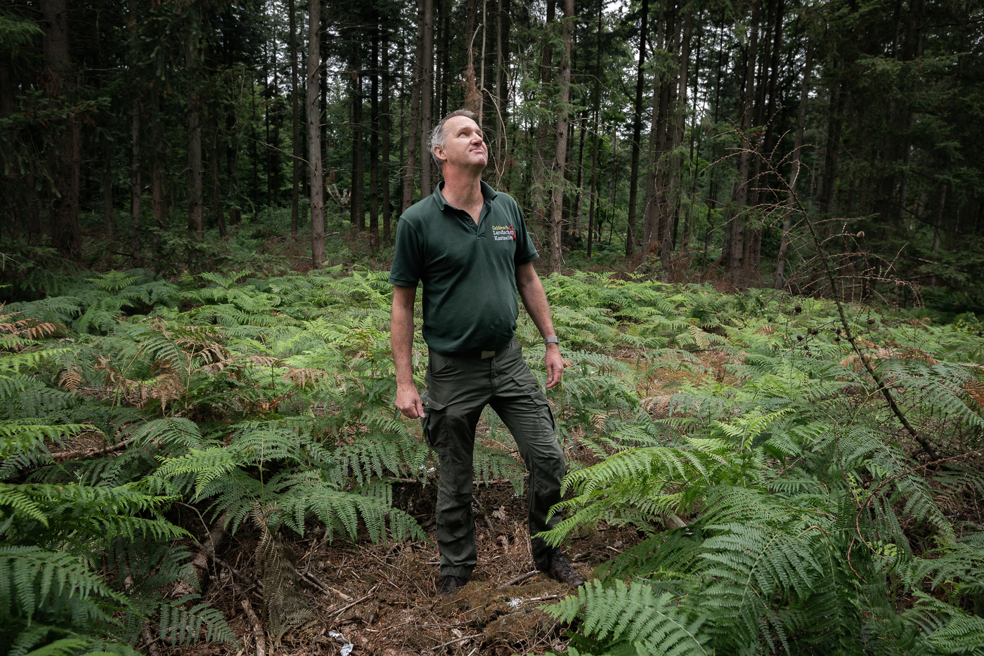 Bram de Jong werkportret