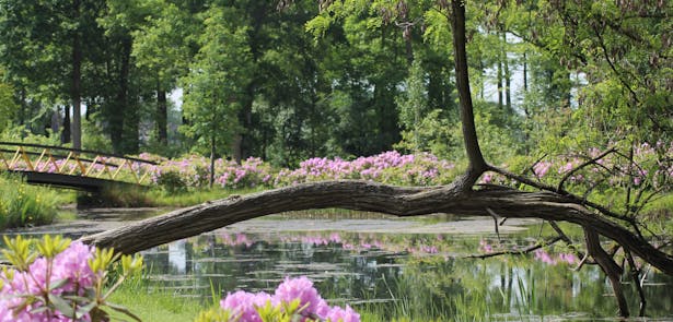 Park Cannenburch
