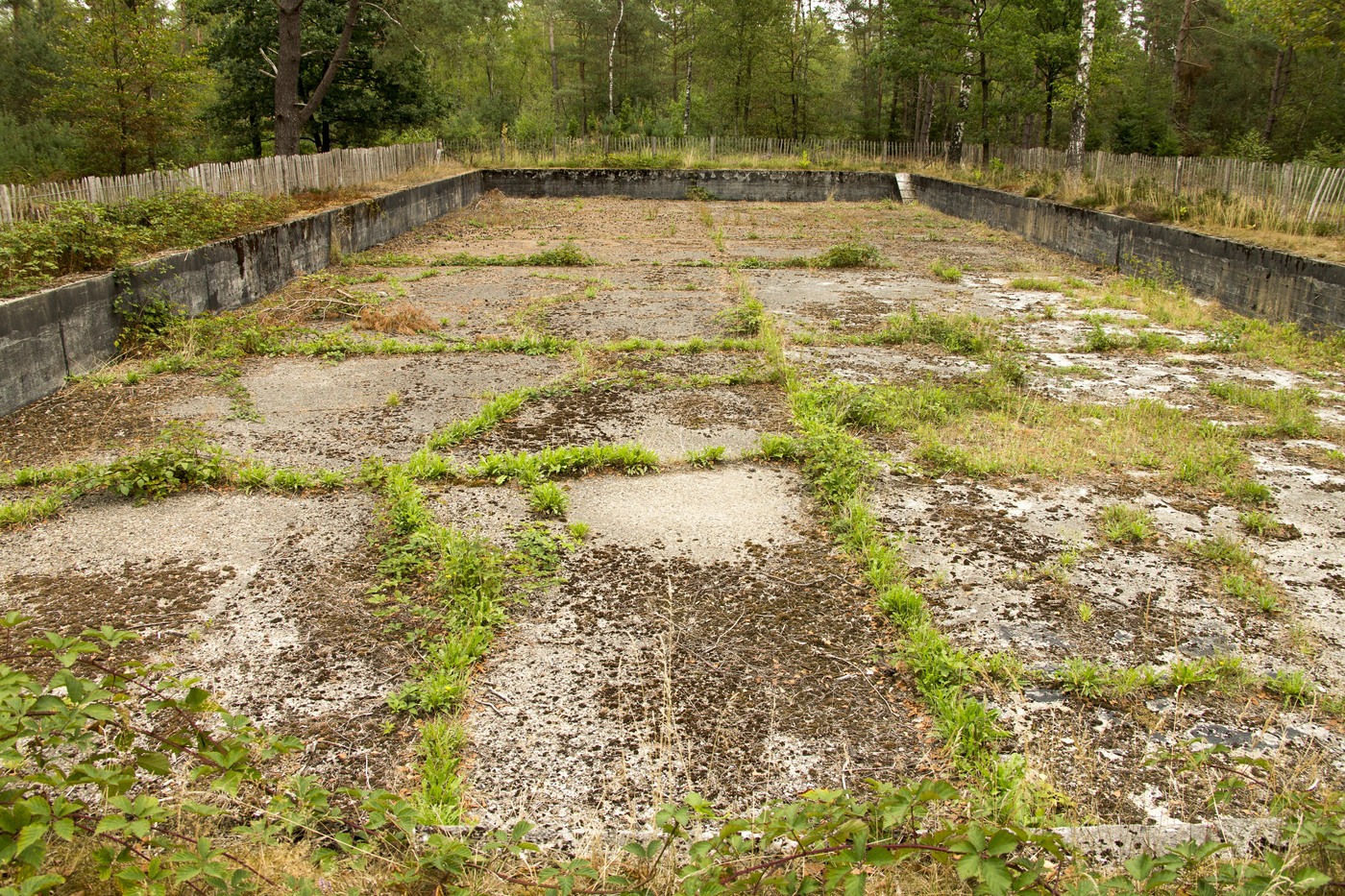 Een lege betonnen bak in het bos, het restant van een voormalige bootjesvijver, op landgoed De Dellen en Heerder Sprengen.