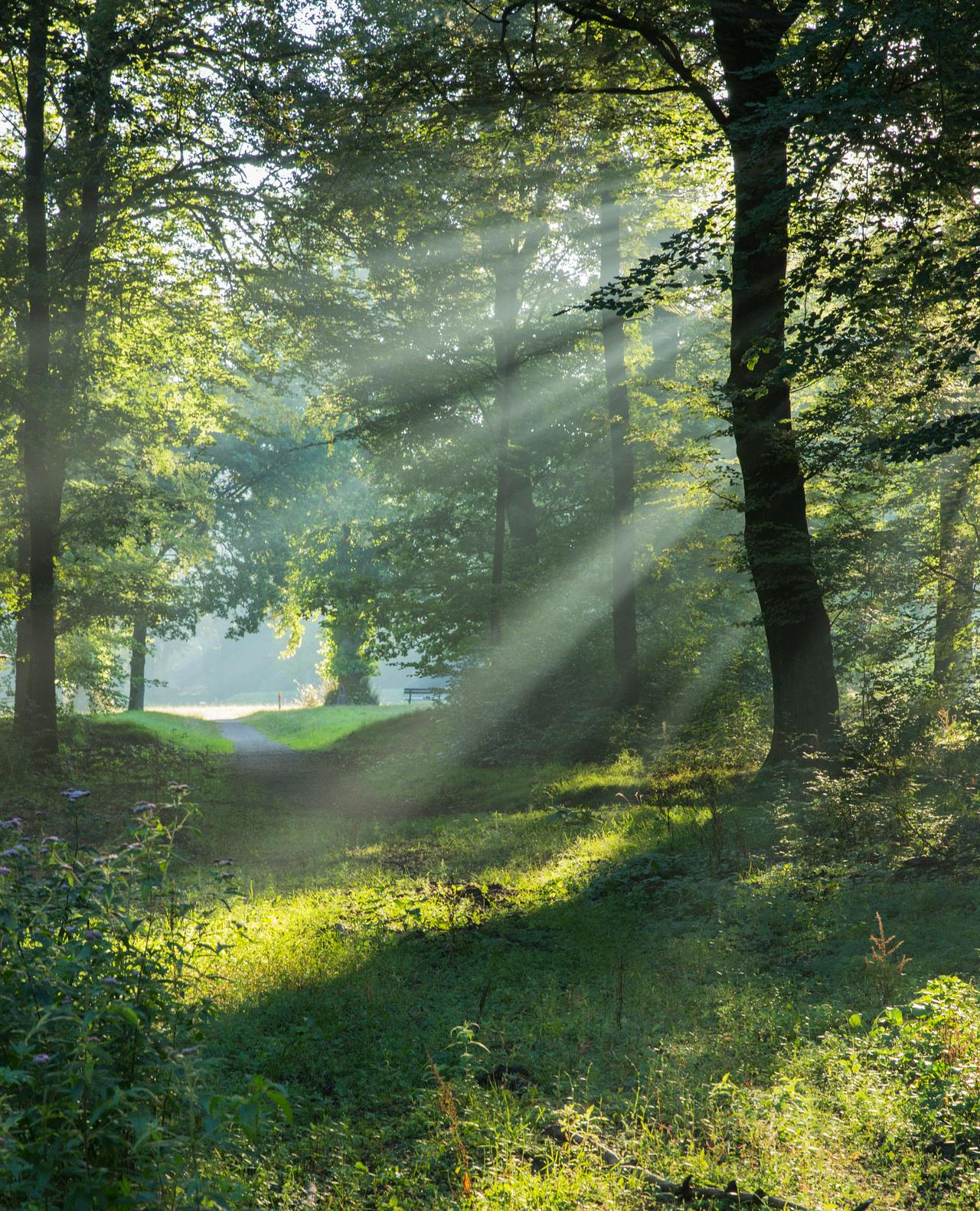 Routes De Dellen | Geldersch Landschap en Kasteelen