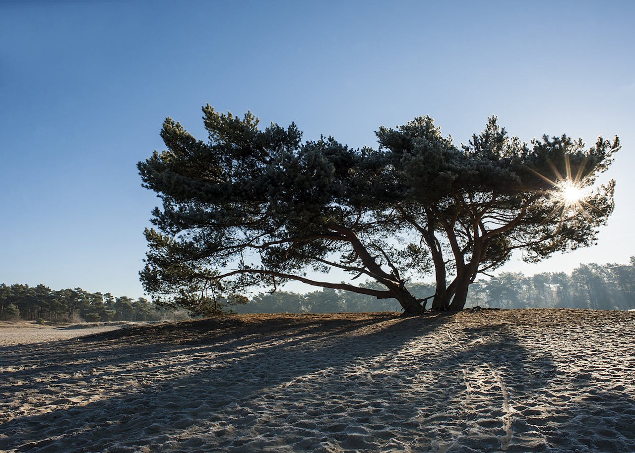 De Haere Winter Stuifzand