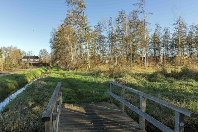 Dodewaard brug