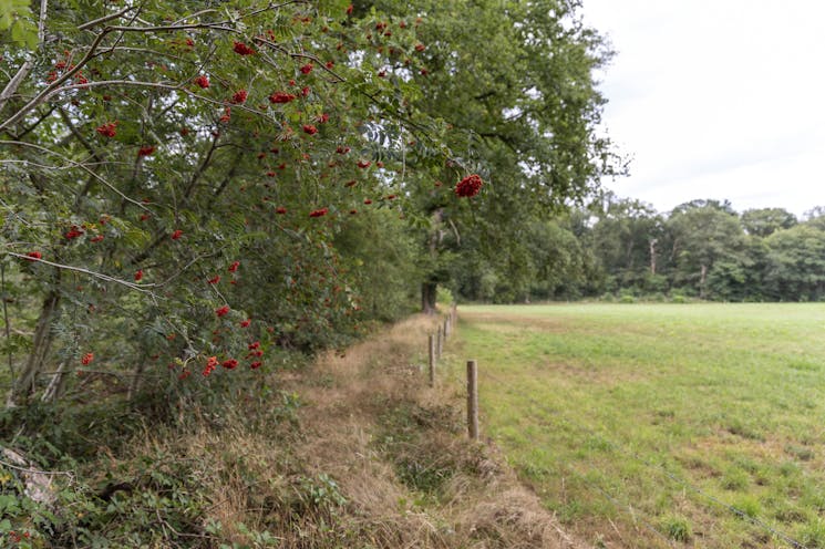 Hatertse Broek landschap