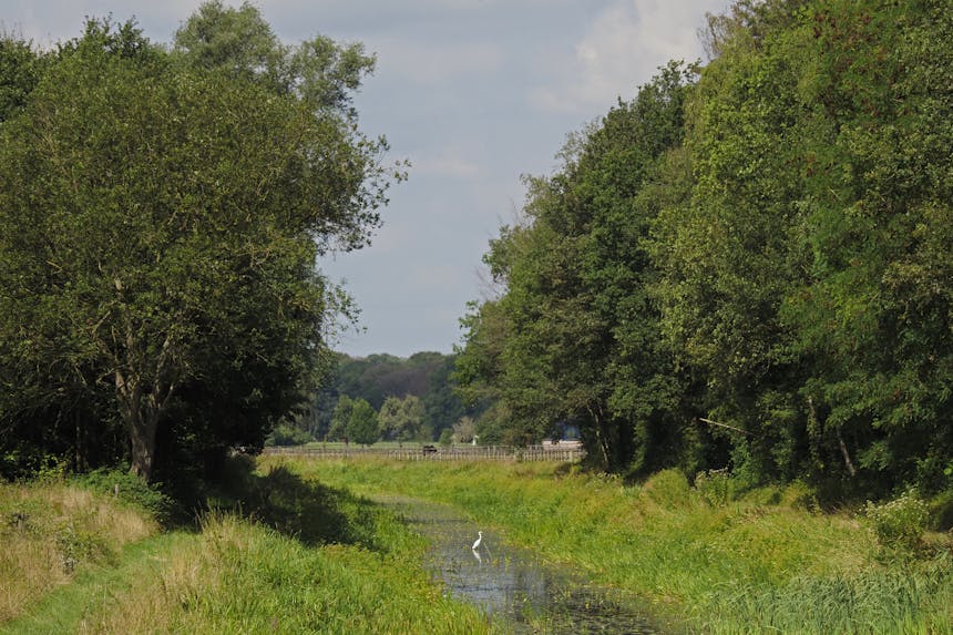 Kieftskamp landschap