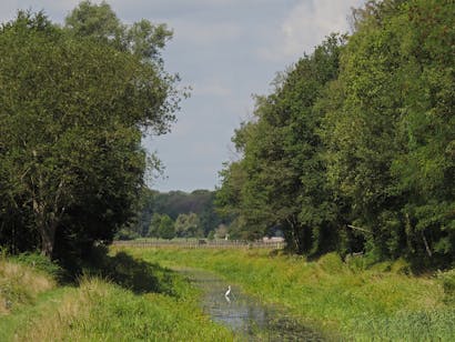 Kieftskamp landschap