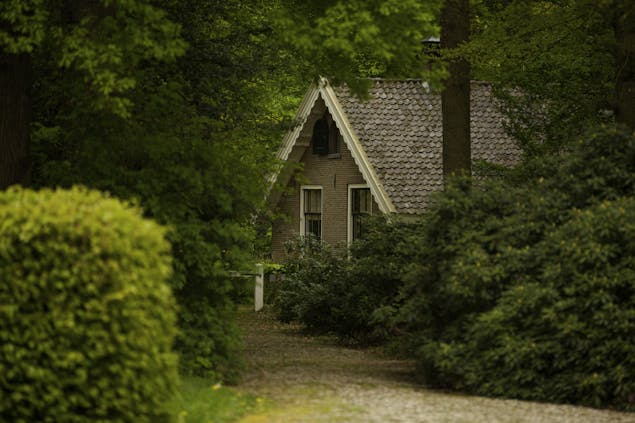 Klein Noordijk Huis achter struik