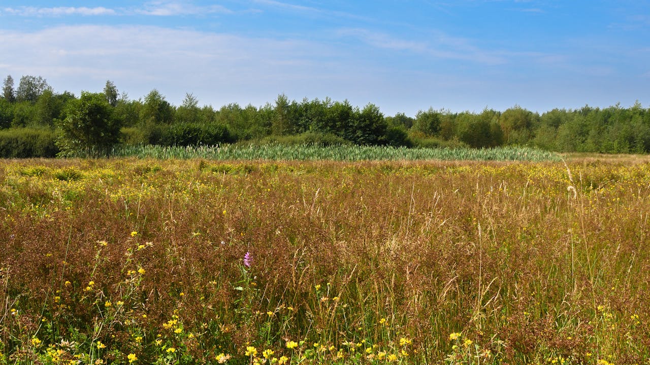 Korte Broek landschap