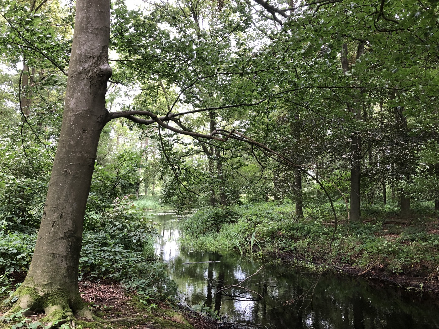 Landfort landschap