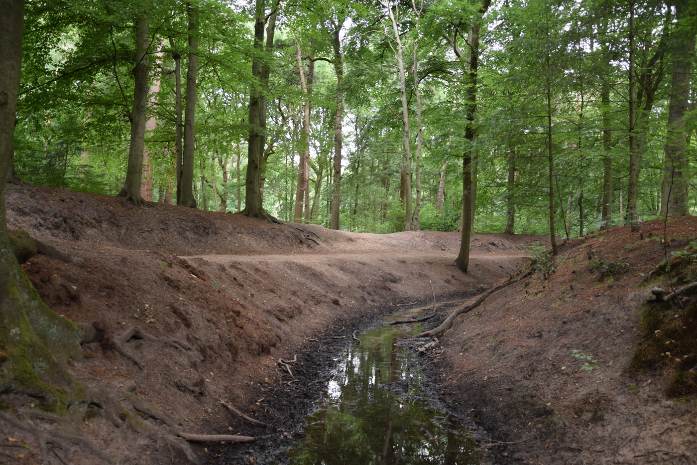 Landgoed Hoekelum landgoed