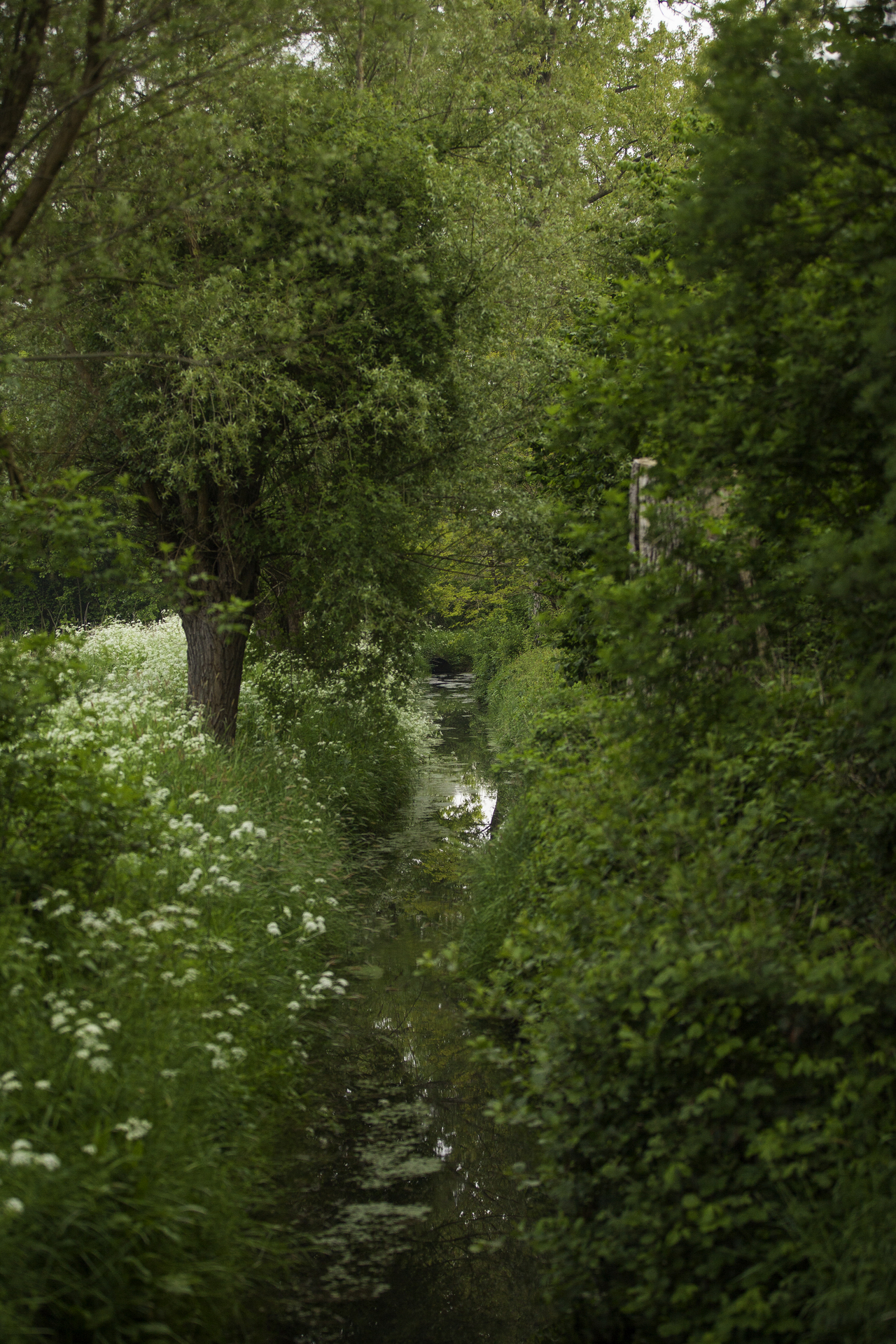 Landgoed Hunderen beekje