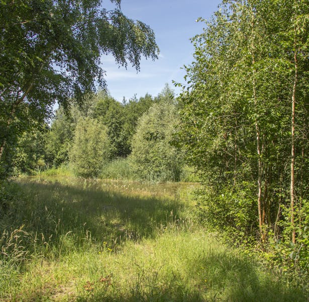 Groote Beek landschap