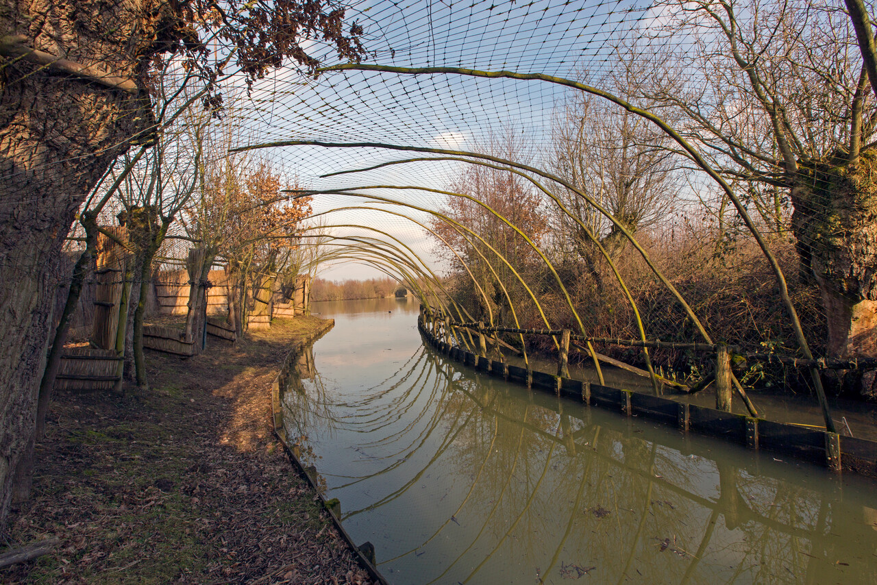 Batenburg eendenkooi