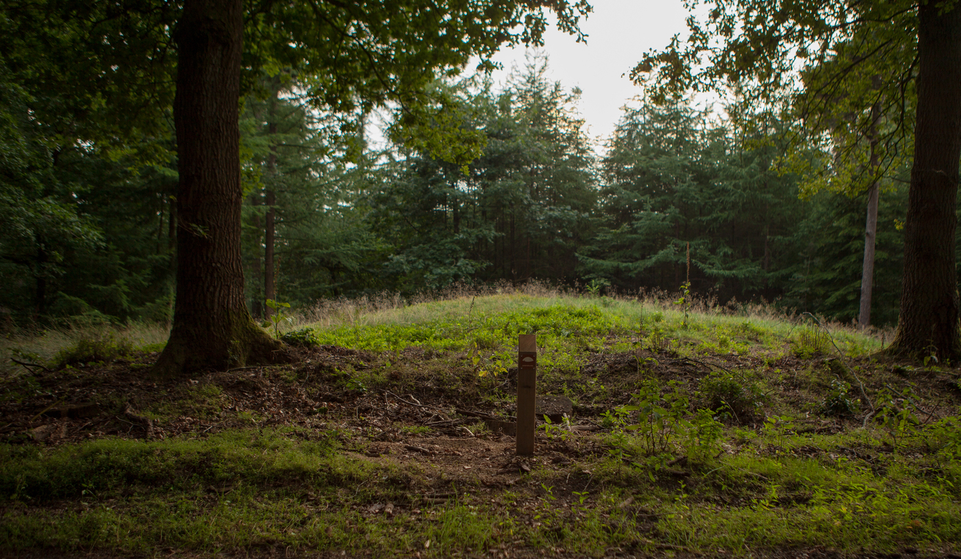 Bergsham; open plek in het bos met een grafheuvel.