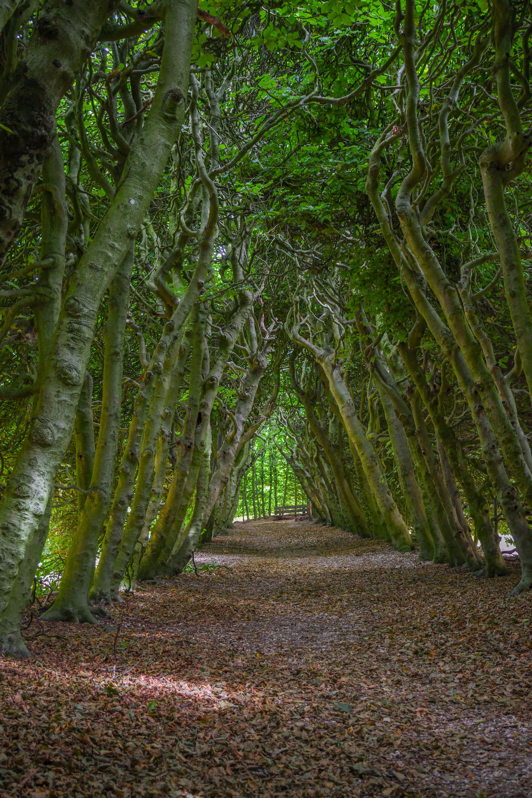 Landgoed Mariendal Groene bedstee