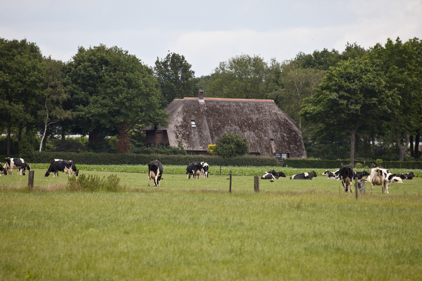 't Zand en Eester Loo boerderij