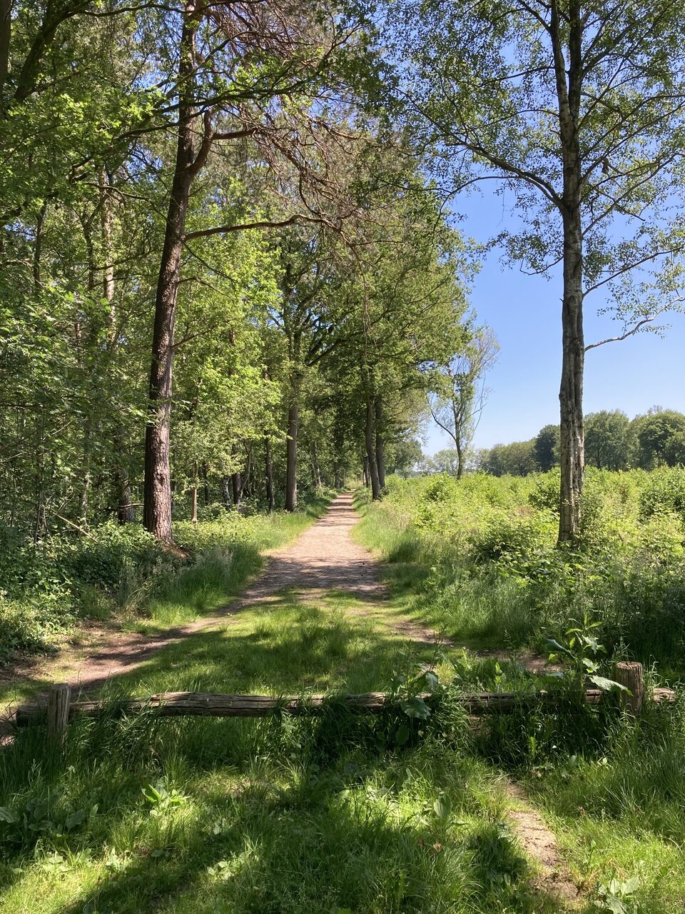 Landgoed Klein Bylaer en Kallenbroek wandelpad
