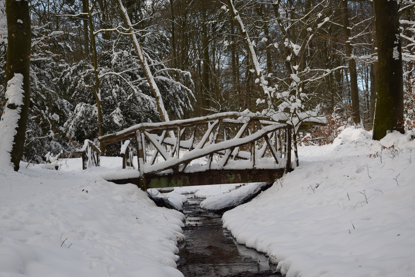 Landgoed Oorsprong en Zilverberg Bruggetje winter