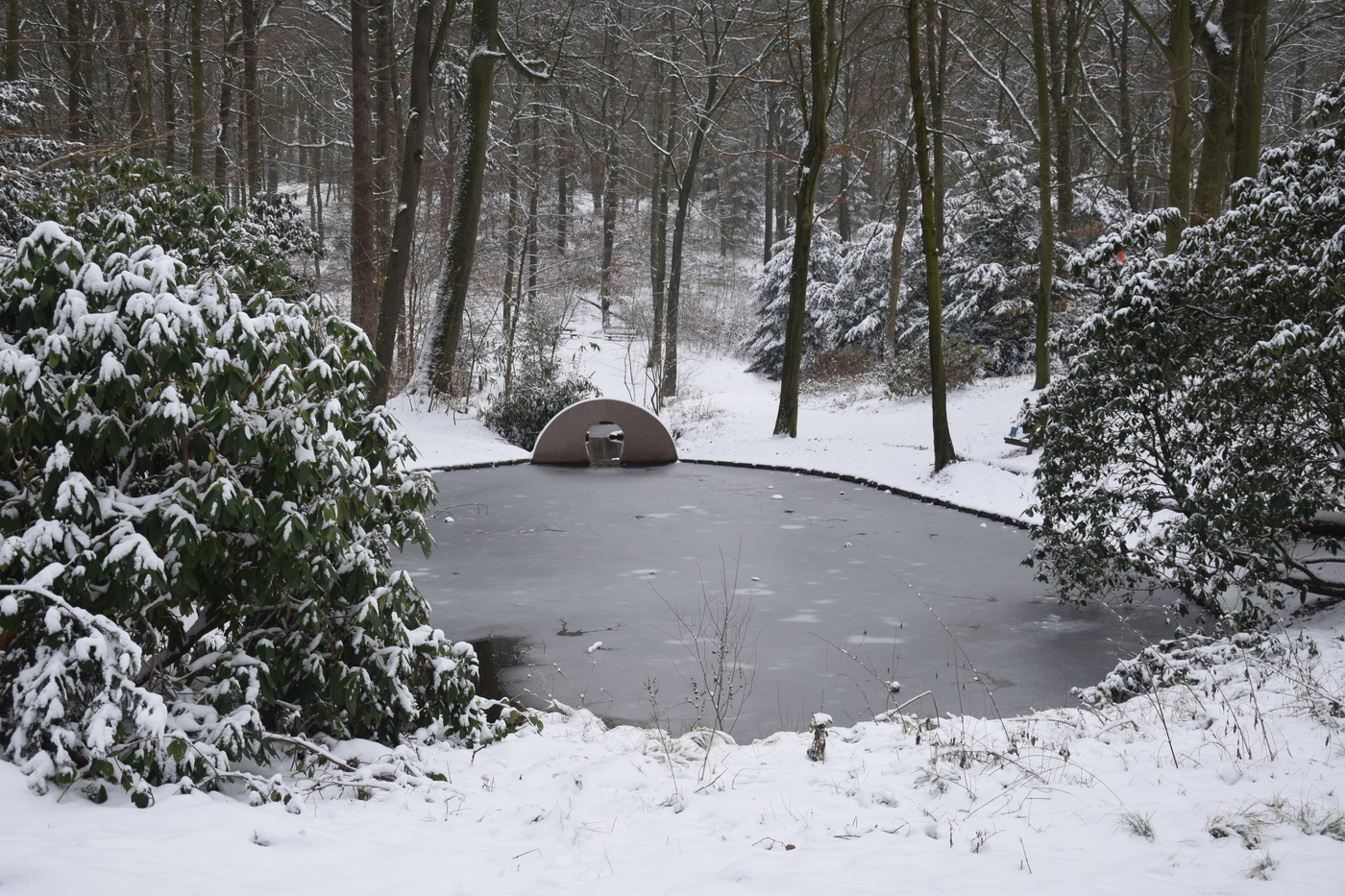 Landgoed Oorsprong en Zilverberg vijver winter