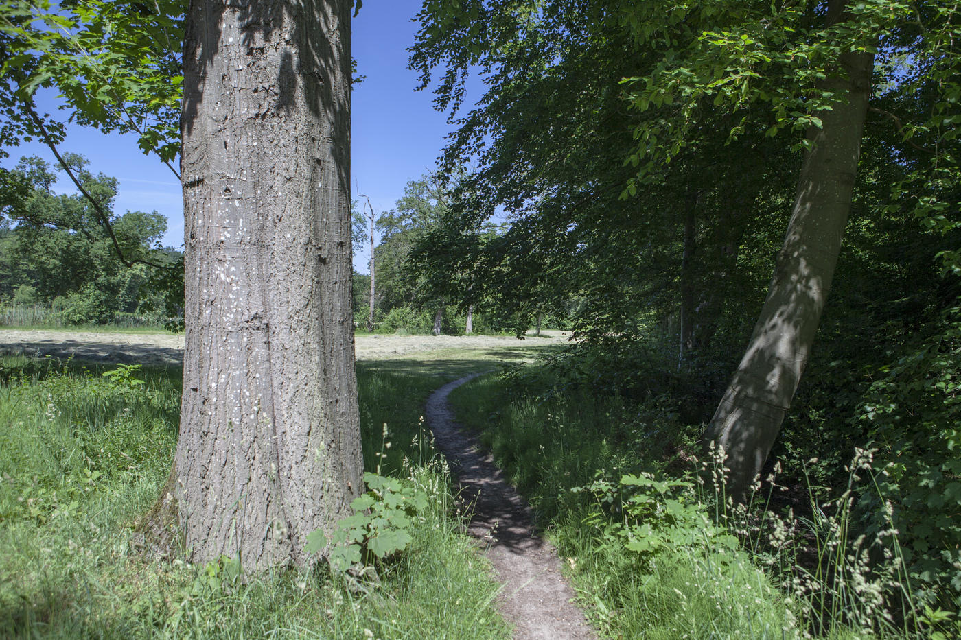 Landgoed Schouwenburg pad