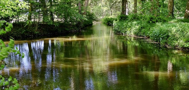 Landgoed 't Velde gracht