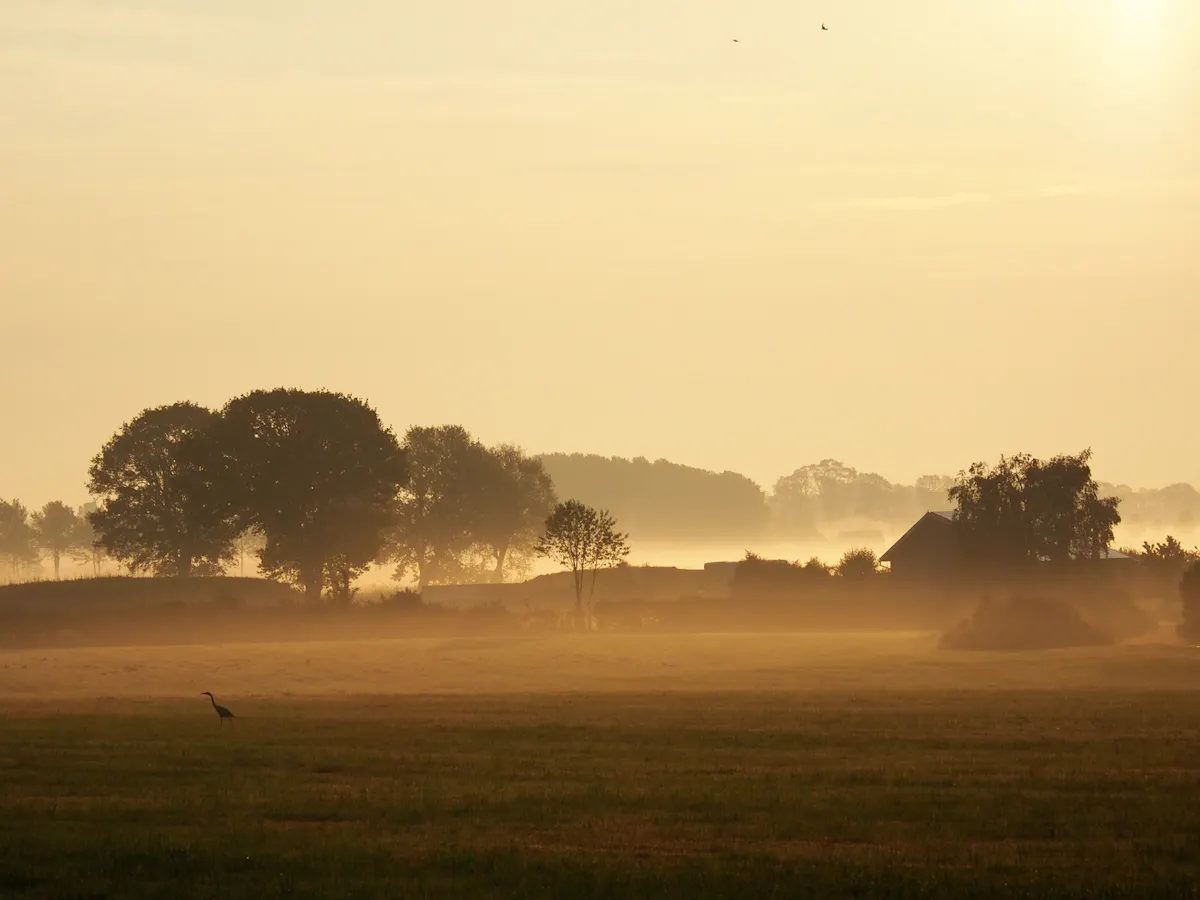Lochemse Berg | Geldersch Landschap en Kasteelen
