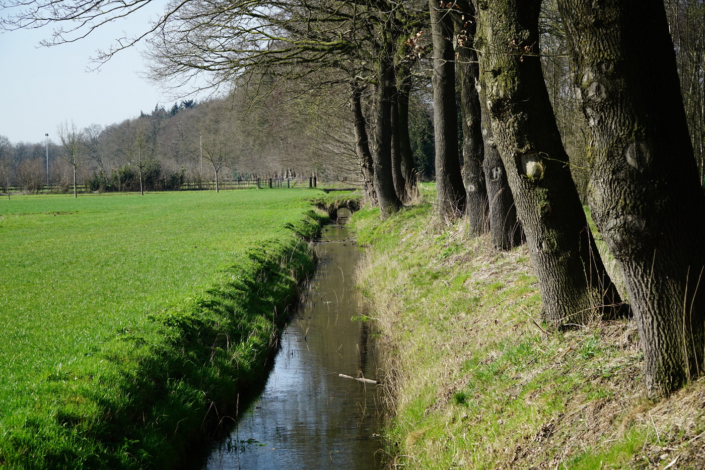Lunterse Beek landschap