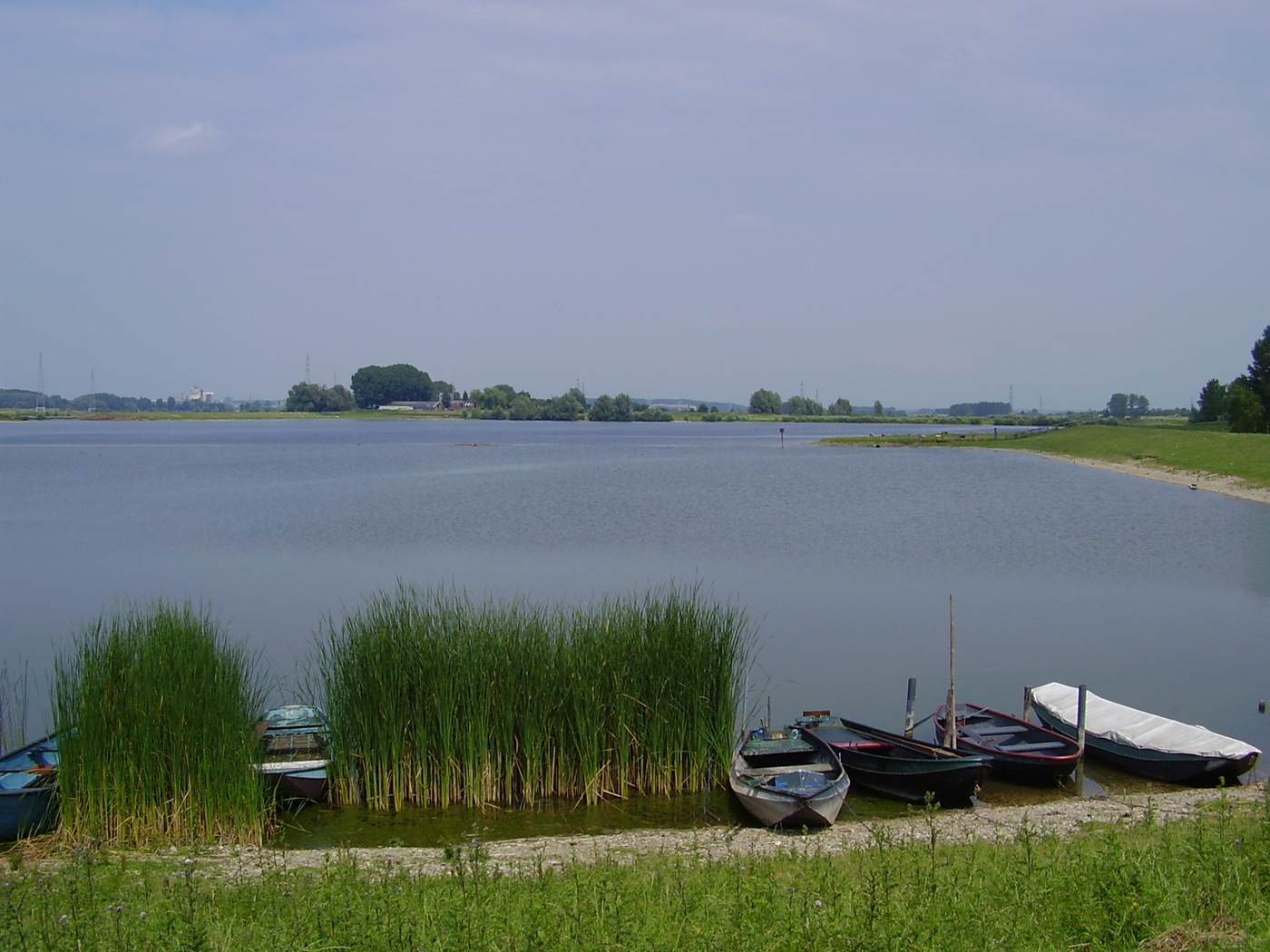 Maneswaard water oever