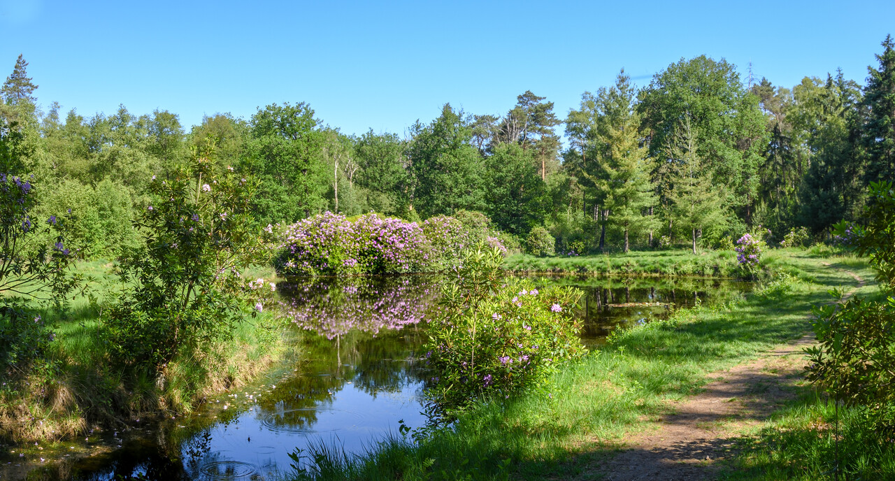 Midzomeravondwandeling Verwolde