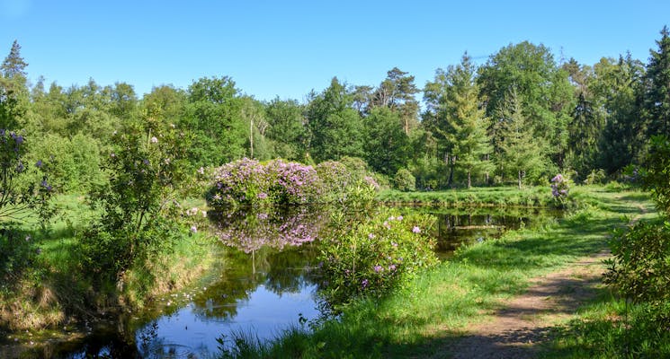 Midzomeravondwandeling Verwolde