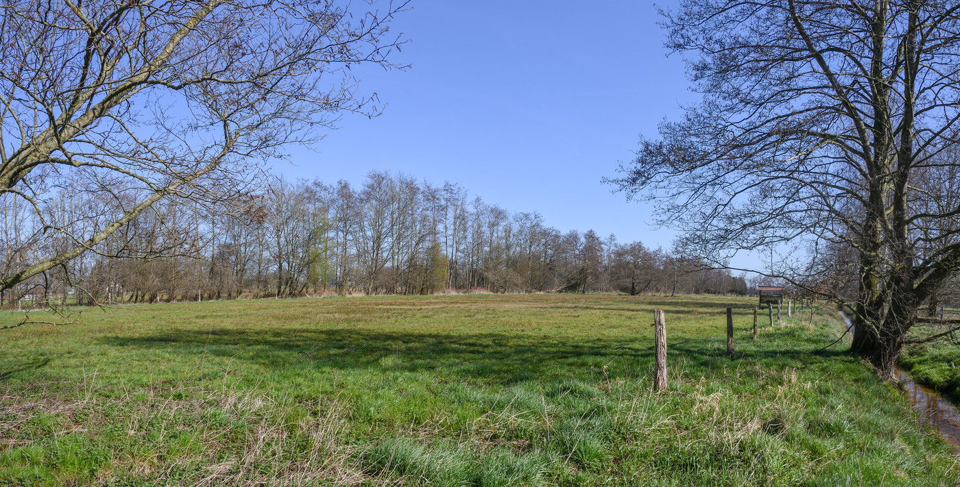 Smallertse Beek en Nijmolense Beek grasland