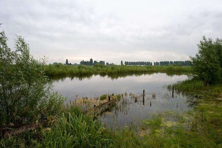 Rijswijkse Waard landschap