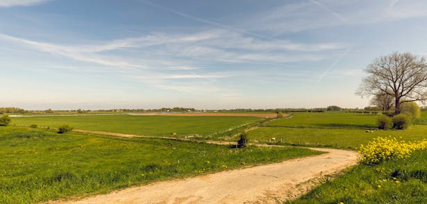 Rijswijkse waard