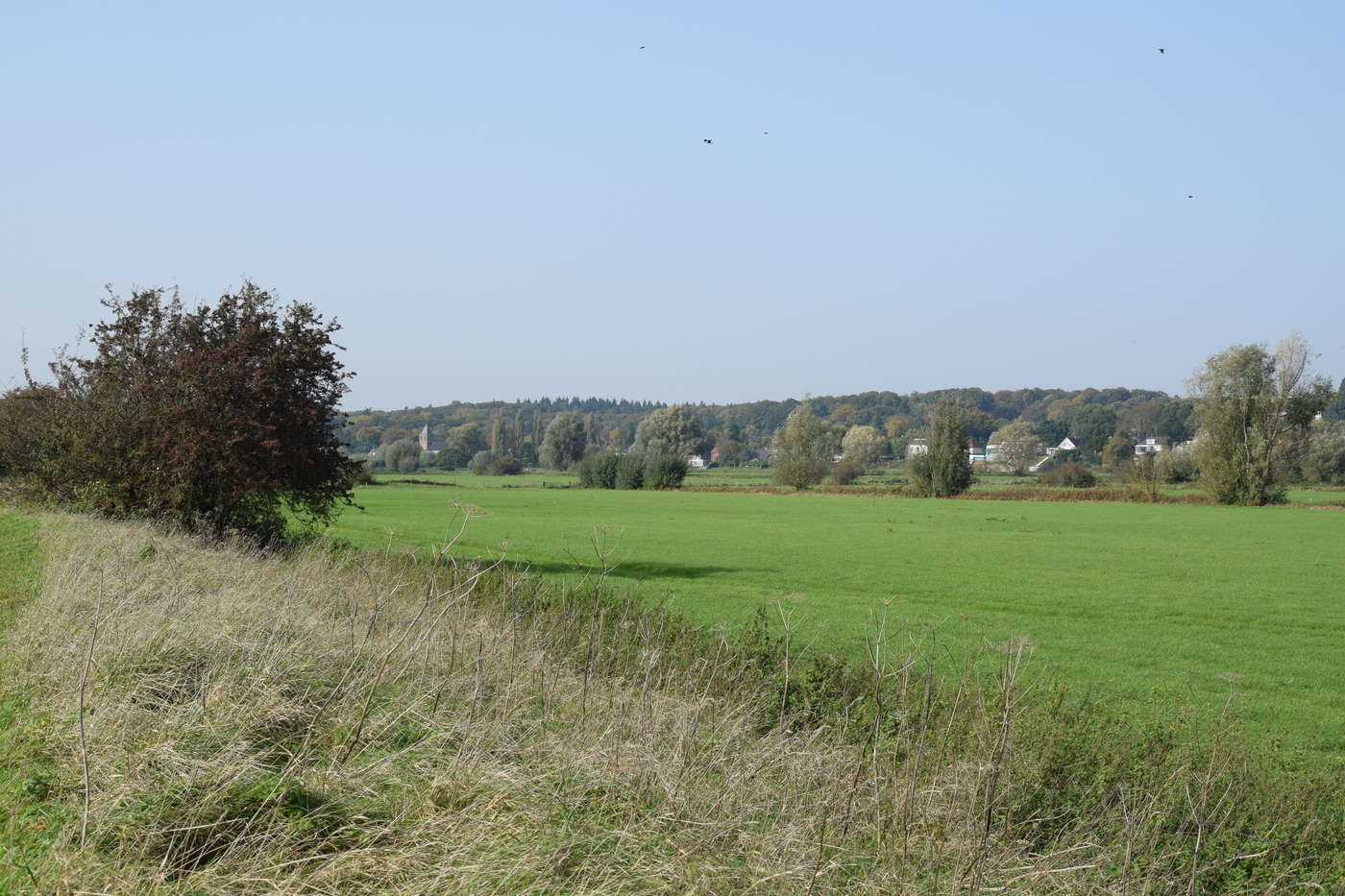 Rosande Polder weiland