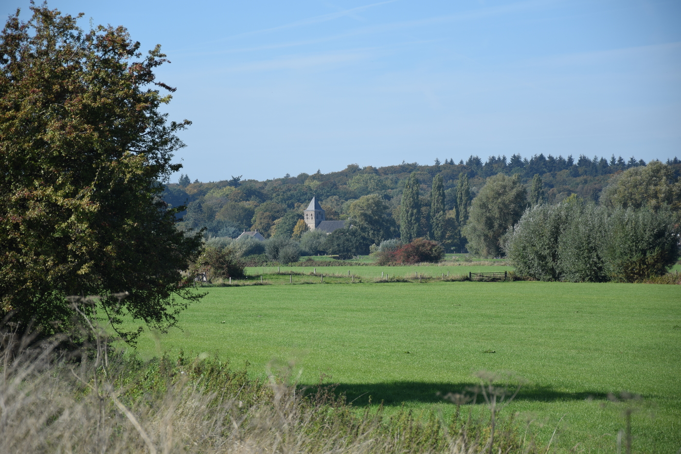Rosande Polder weiland met kerk