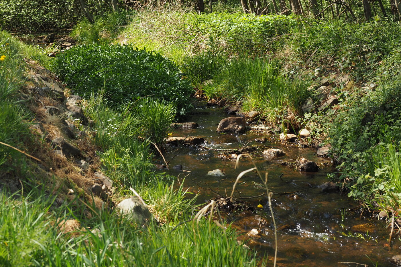 Smallertse Beek en Nijmolense Beek beek