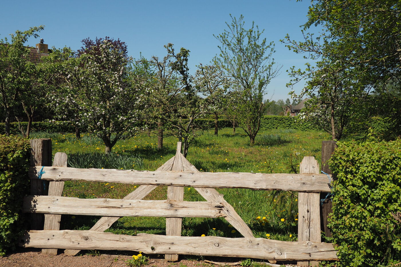 Smallertse Beek en Nijmolense Beek boomgaard