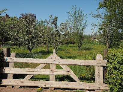 Smallertse Beek en Nijmolense Beek boomgaard