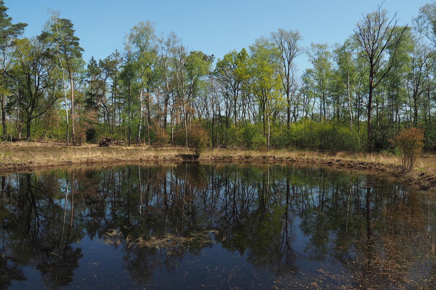 Smallertse Beek en Nijmolense Beek beek