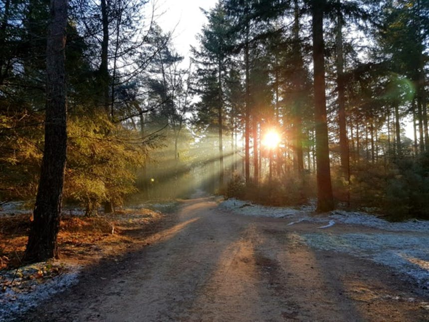 Sysselt zonnestralen