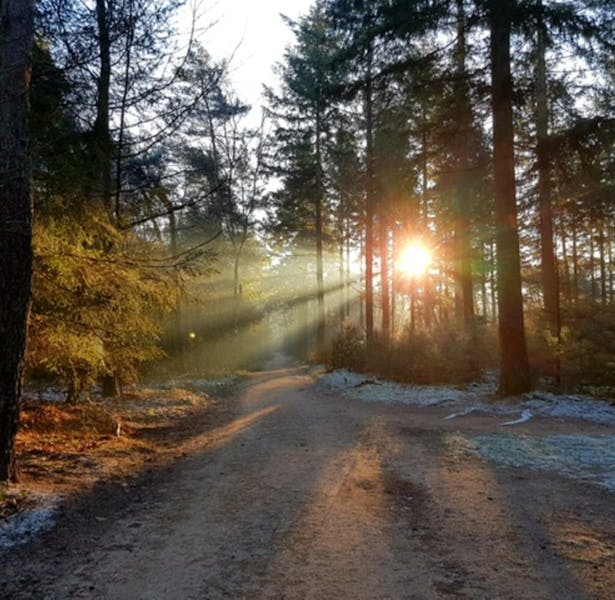 Sysselt zonnestralen