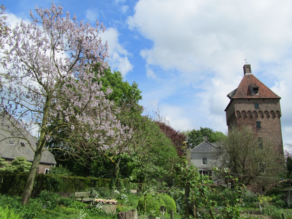 Toren van Poelwijk bloesemboom en kasteel
